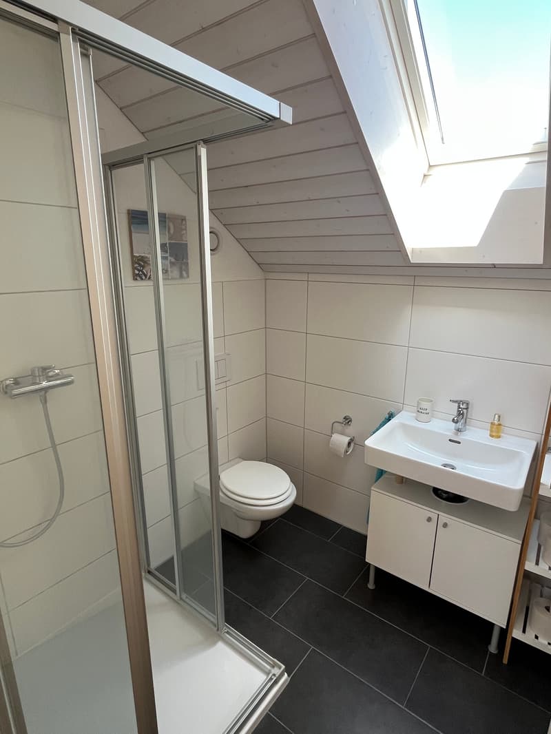 4.5-Zimmer-Maisonette-Wohnung mit viel Charme und grossem Balkon. (17)