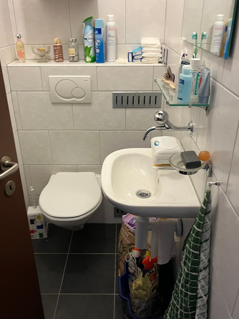 5.5-Zimmer Maisonette-Wohnung mit Gartensitzplatz hoch über dem Greifensee. (11)