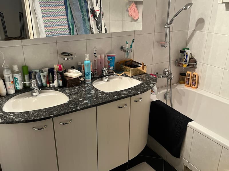 5.5-Zimmer Maisonette-Wohnung mit Gartensitzplatz hoch über dem Greifensee. (10)