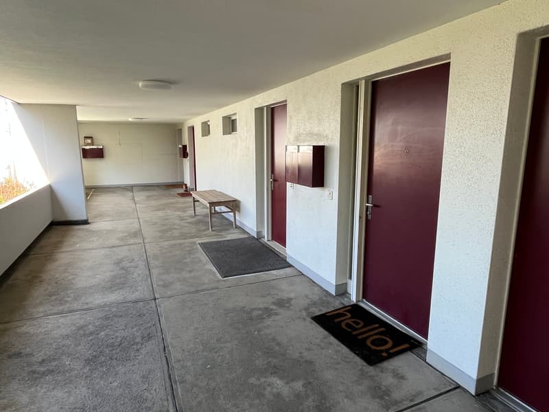 5.5-Zimmer Maisonette-Wohnung mit Gartensitzplatz hoch über dem Greifensee. (3)