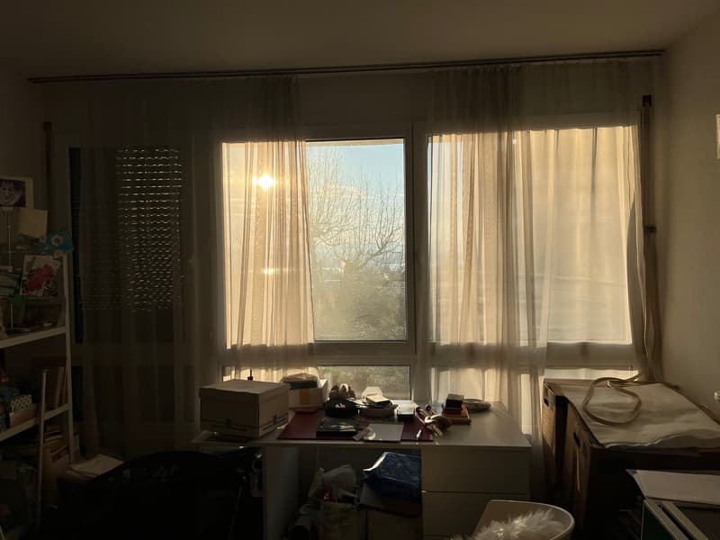 5.5-Zimmer Maisonette-Wohnung mit Gartensitzplatz hoch über dem Greifensee. (6)