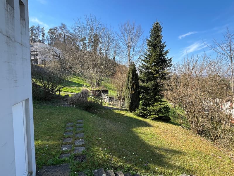 5.5-Zimmer Maisonette-Wohnung mit Gartensitzplatz hoch über dem Greifensee. (17)