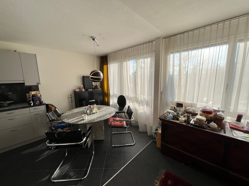 5.5-Zimmer Maisonette-Wohnung mit Gartensitzplatz hoch über dem Greifensee. (9)