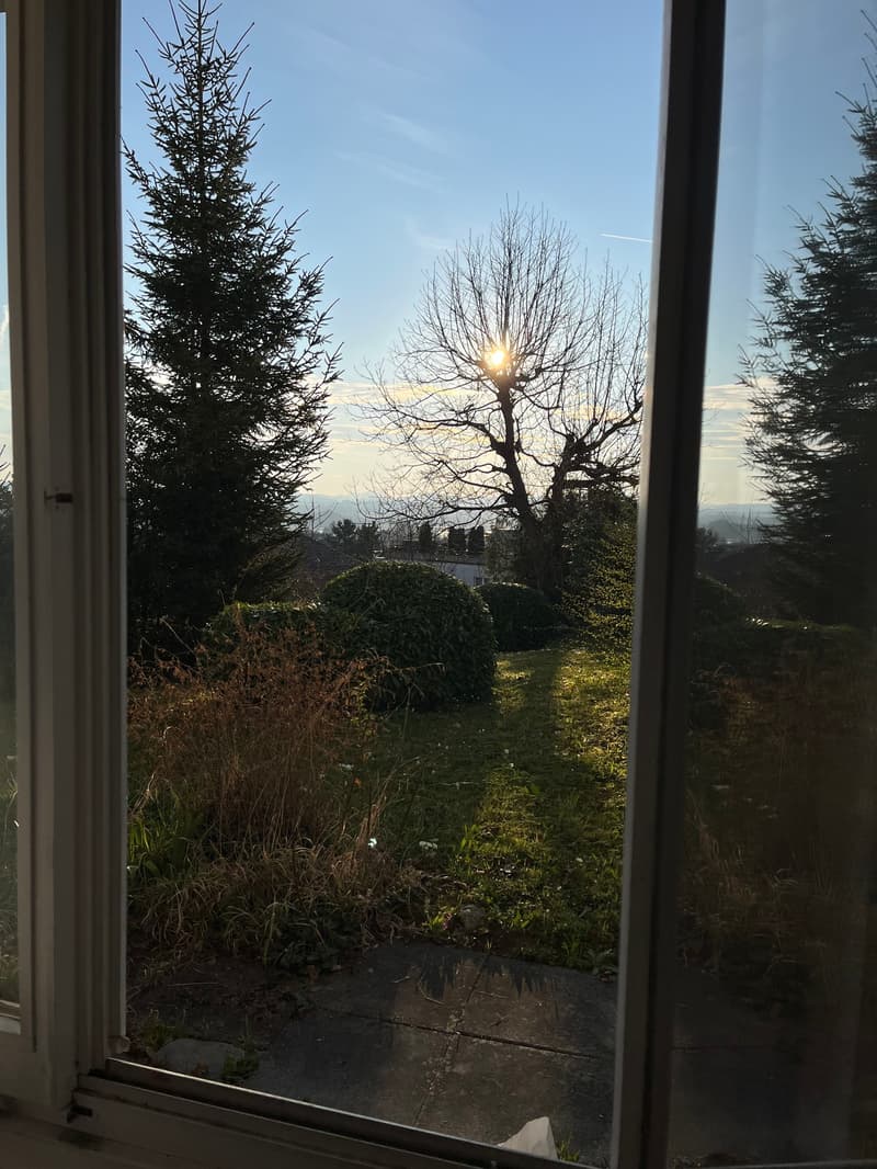 5.5-Zimmer Maisonette-Wohnung mit Gartensitzplatz hoch über dem Greifensee. (15)