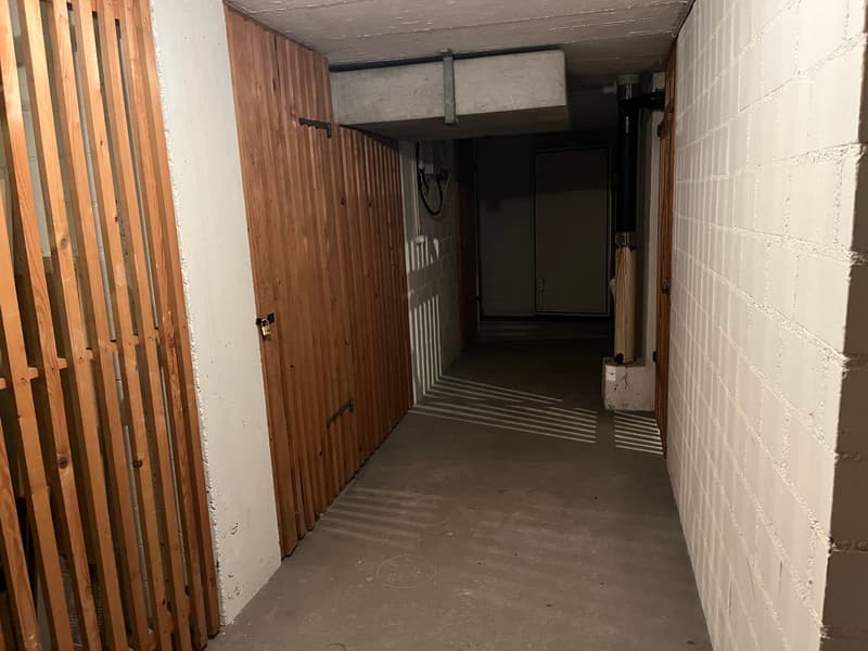 5.5-Zimmer Maisonette-Wohnung mit Gartensitzplatz hoch über dem Greifensee. (13)