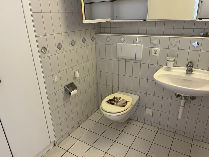 5.5 Zimmer-Reiheneinfamilienhaus mit Wintergarten, 2 Balkonen und 2 Garagenboxen. (21)