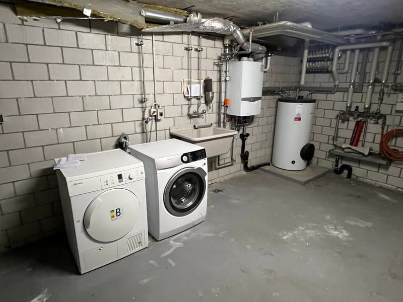 5.5 Zimmer-Reiheneinfamilienhaus mit Wintergarten, 2 Balkonen und 2 Garagenboxen. (26)