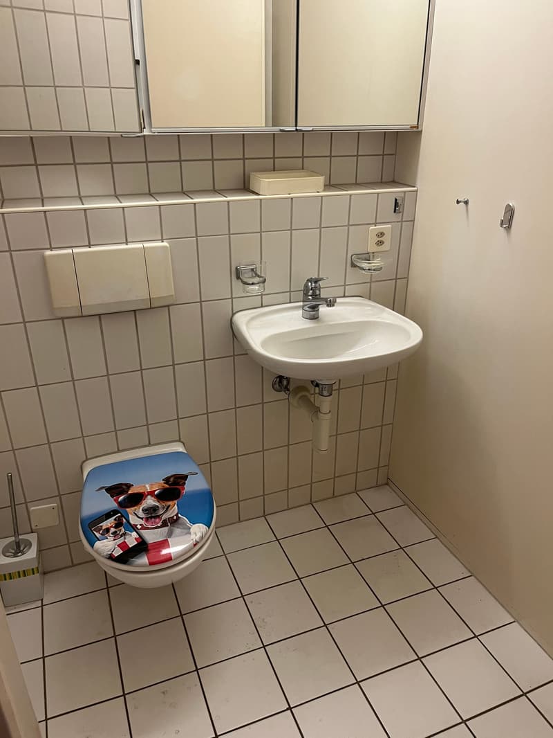 5.5 Zimmer-Reiheneinfamilienhaus mit Wintergarten, 2 Balkonen und 2 Garagenboxen. (17)