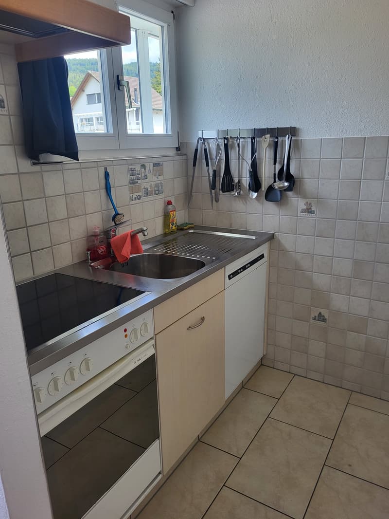 Bello appartamento di 4,5 locali (2)