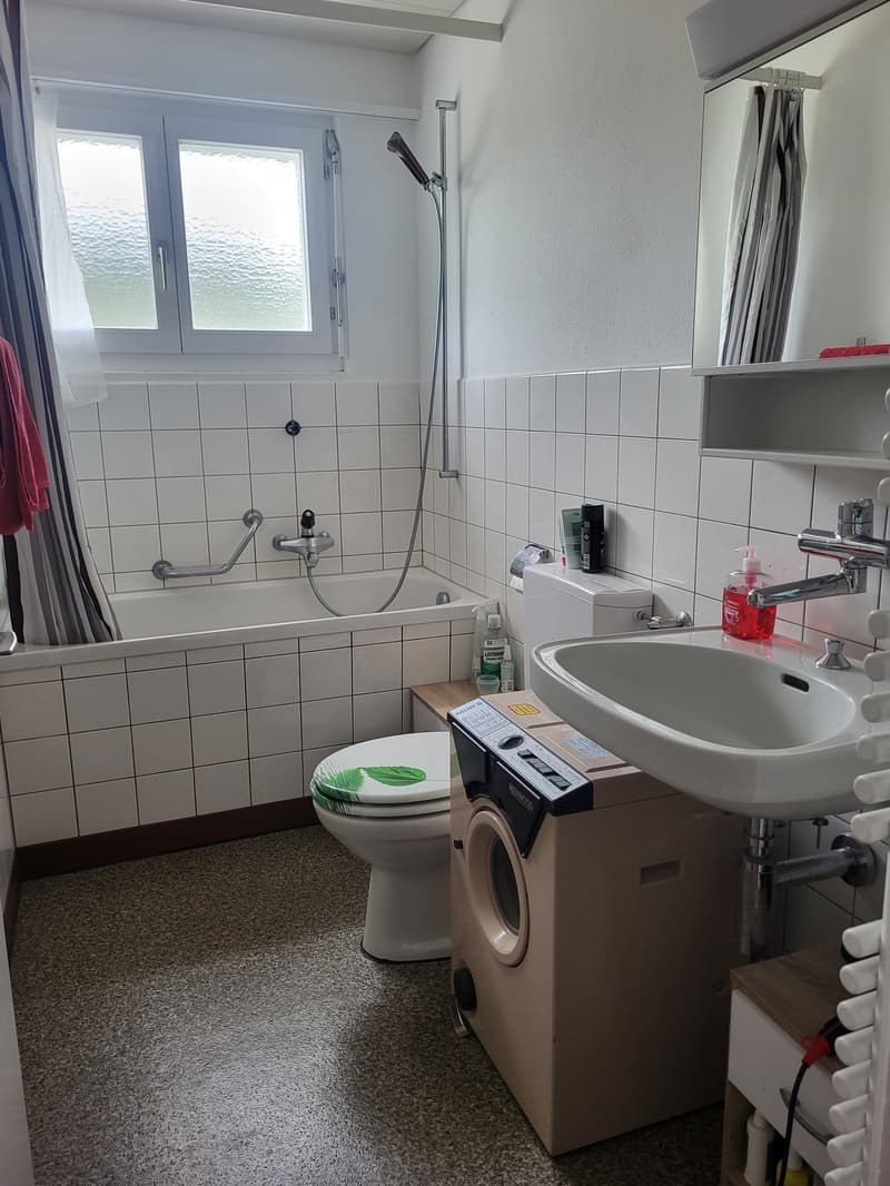 Bello appartamento di 4,5 locali (4)