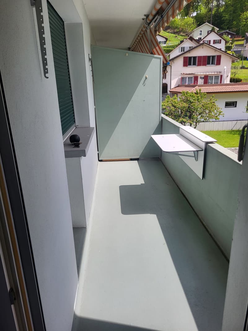 Bello appartamento di 4,5 locali (9)