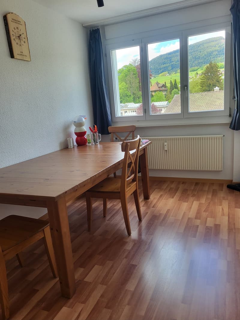 Bello appartamento di 4,5 locali (6)