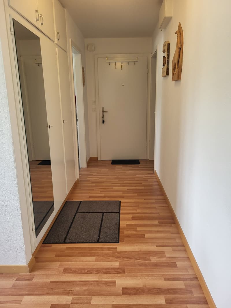 Bello appartamento di 4,5 locali (7)