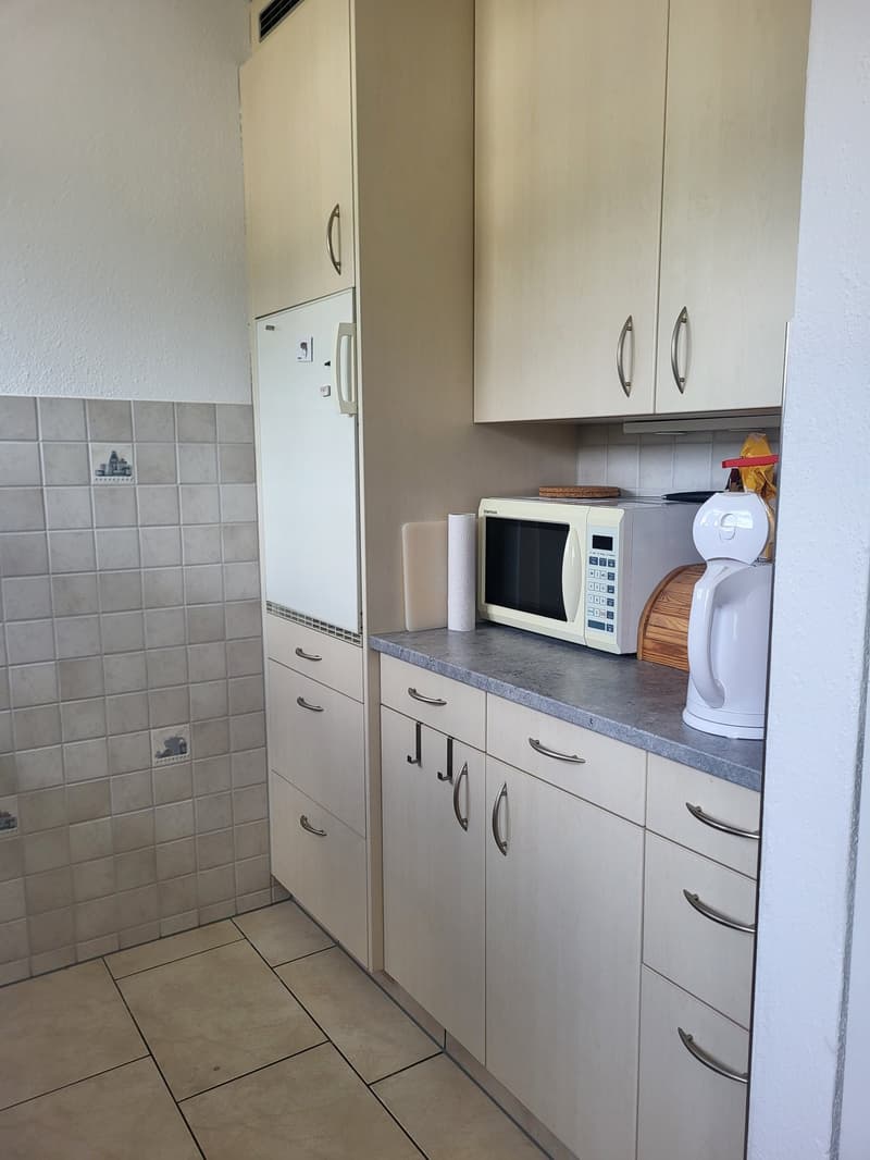 Bello appartamento di 4,5 locali (3)