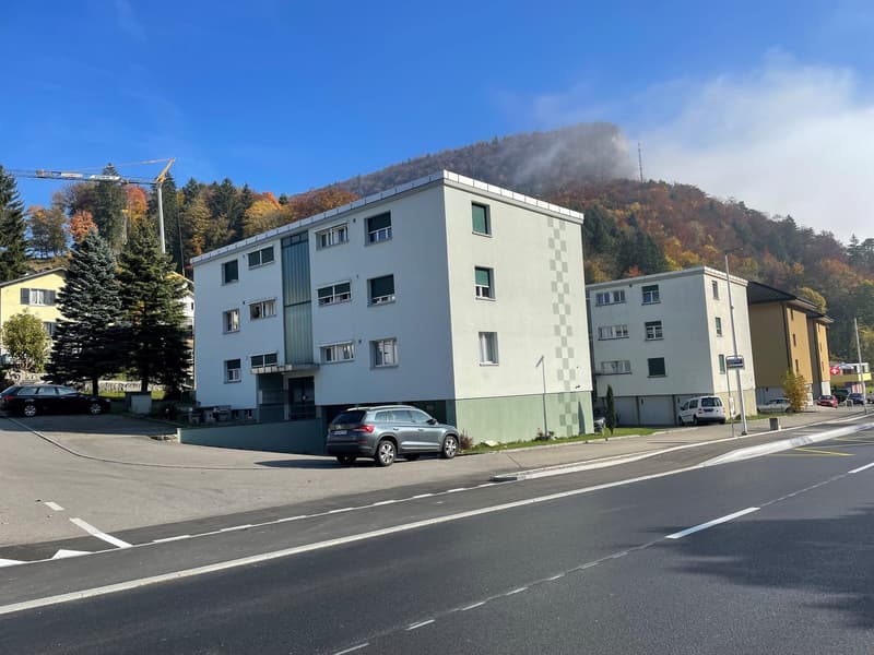 Charmante 3.5-Zimmer-Wohnung mit Balkon in Mümliswil – sofort verfügbar! (1)