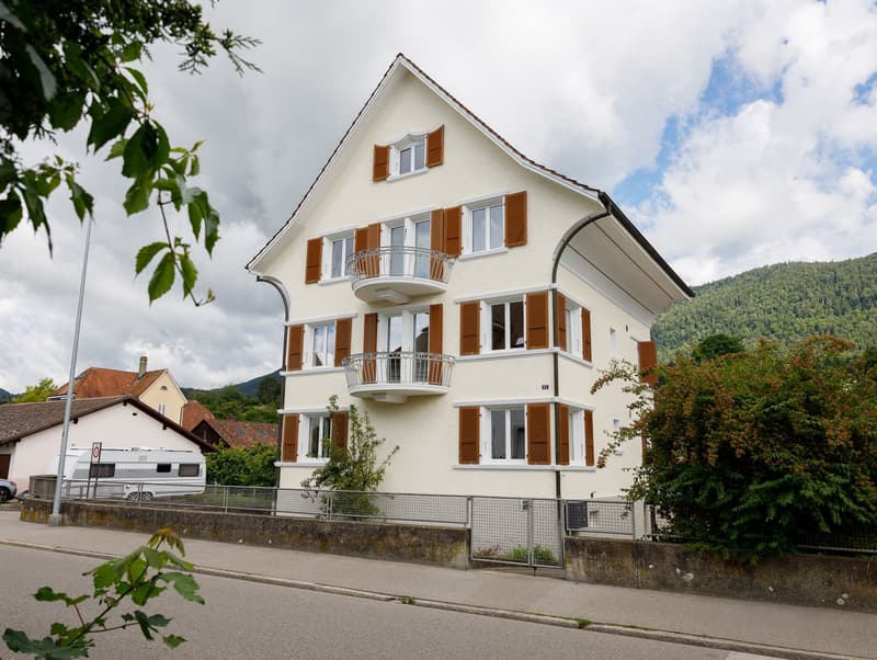 Komplett renoviertes Schmuckstück mit 3 freien Wohnungen (1)