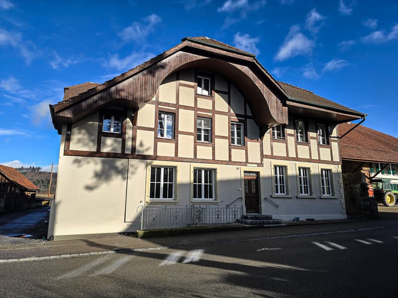 Charmante 2.5-Zimmer-Dachwohnung in Diessbach bei Büren (9)
