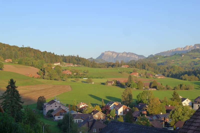 Grosse 4.5 -Zimmer-Wohnung mit Balkon und Kamin, TOP-Lage in Steffisburg (13)