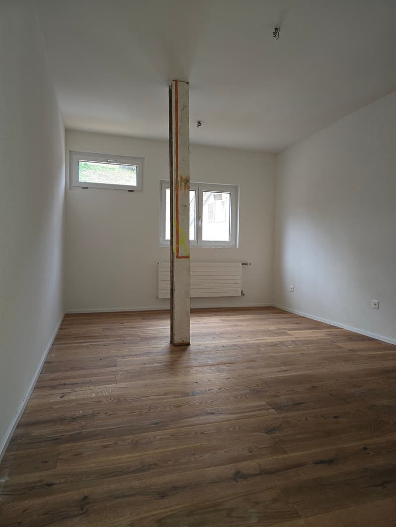 Erstvermietung nach Totalsanierung (3)