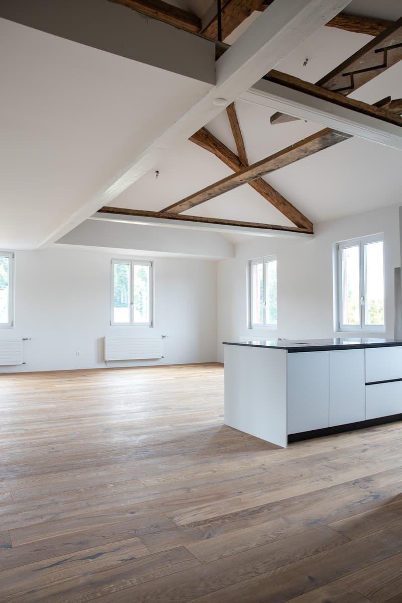 Grosszügige 3.5-Zimmer-Dachwohnung mit Galerie (1)