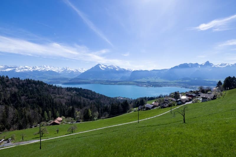 Panorama Hotel/Kurhaus Haltenegg in Heiligenschwendi (11)