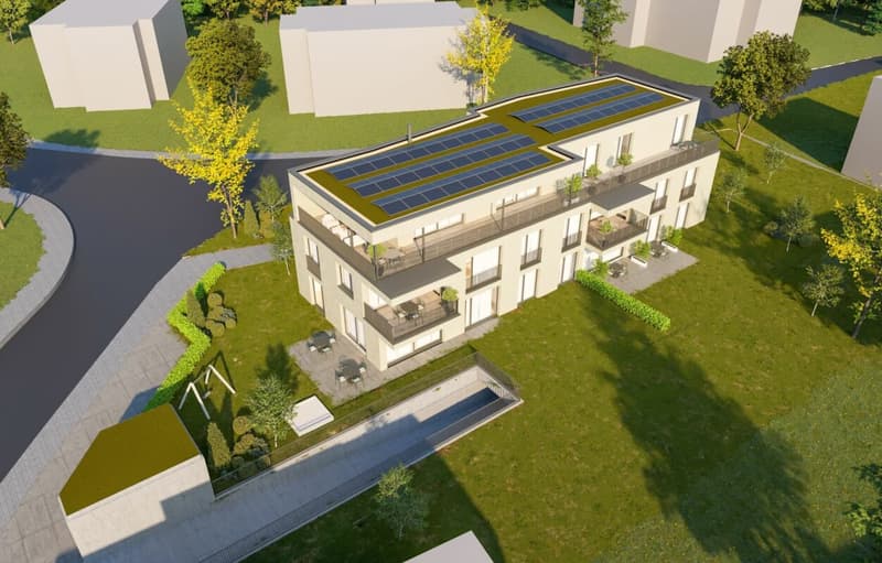 Sogno di giardino di nuova costruzione a Studen (7)