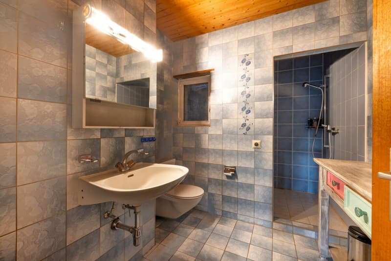 Maison individuelle à Courtepin (18)
