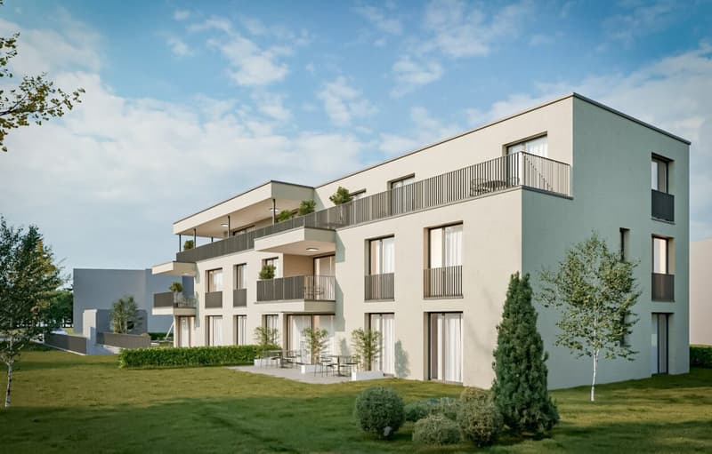 Nouveau à Studen - appartement en propriété moderne (4)