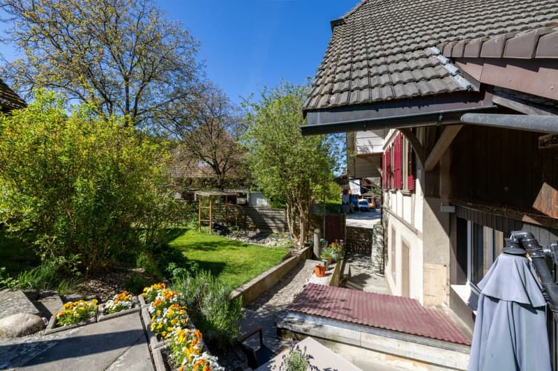 Affordable main house in Arch (2)