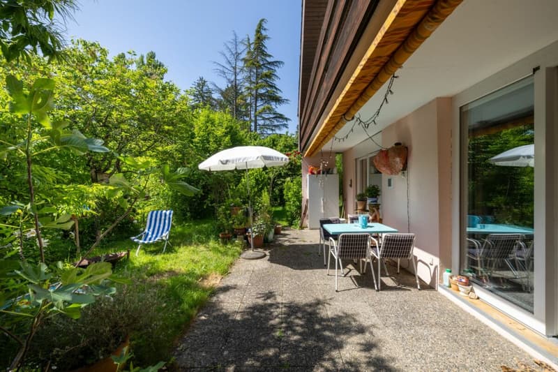 Sogno di giardino a distanza di pietra dal lago (11)