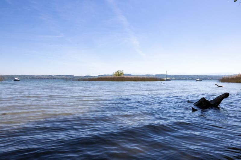 Sogno di giardino a distanza di pietra dal lago (12)