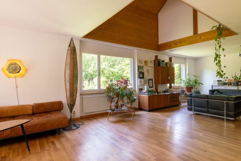 Sogno di giardino a distanza di pietra dal lago (6)