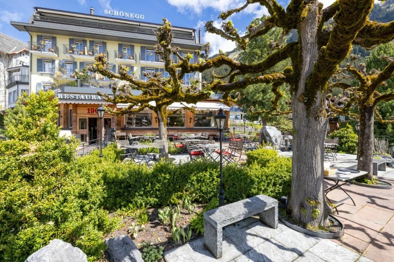 Dream Hotel in Wengen (14)