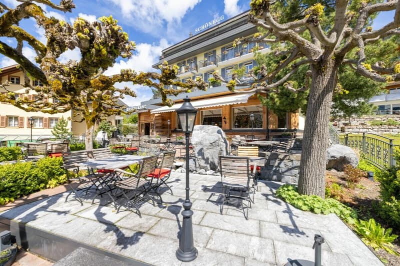 Dream Hotel in Wengen (15)