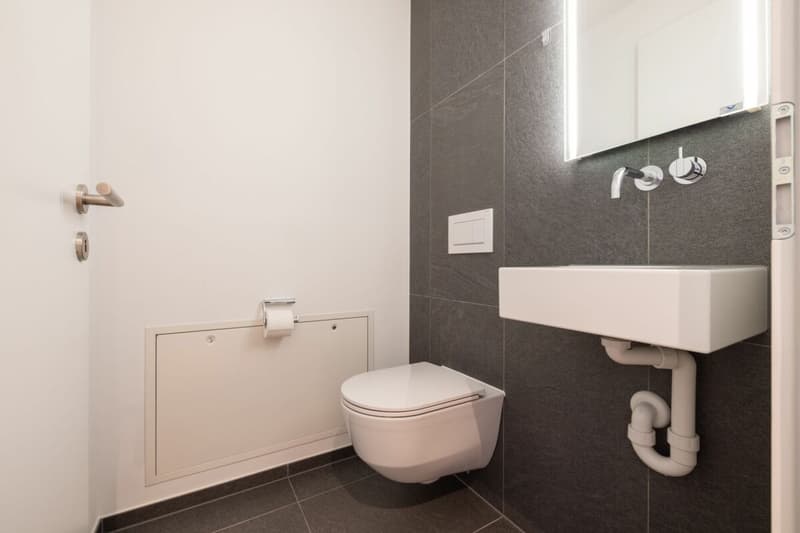 Appartement d'attique exclusif dans un emplacement idéal avec vue imprenable sur les montagnes et le lac (9)