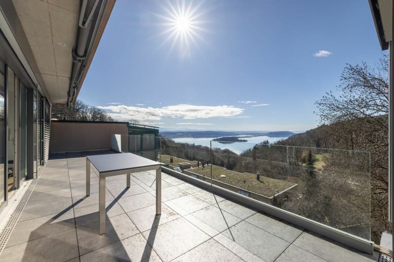 Appartement d'attique exclusif dans un emplacement idéal avec vue imprenable sur les montagnes et le lac (2)
