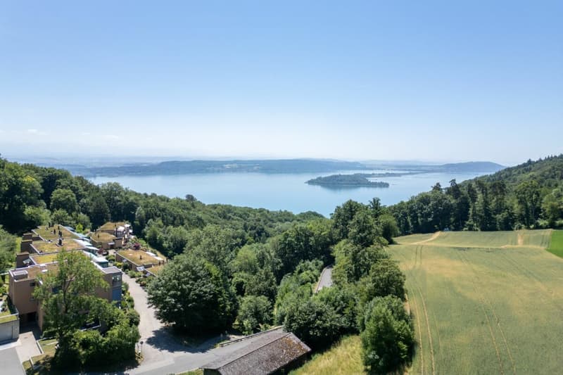 Appartement attique exclusif dans un excellent emplacement avec vue imprenable sur les montagnes et le lac (13)