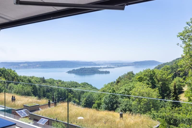 Appartement attique exclusif dans un excellent emplacement avec vue imprenable sur les montagnes et le lac (3)