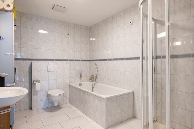 Am Sonnenhang von Liestal: 4.5 Zimmer Terrassenwohnung (10)