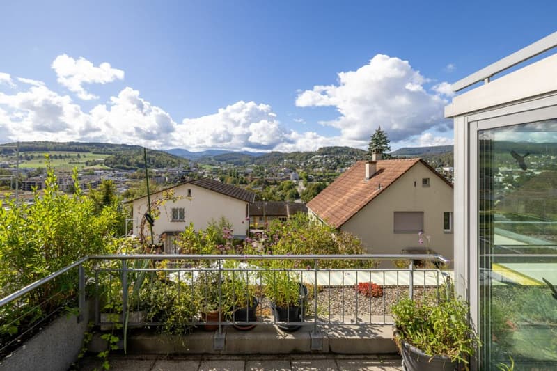 Am Sonnenhang von Liestal: 4.5 Zimmer Terrassenwohnung (13)