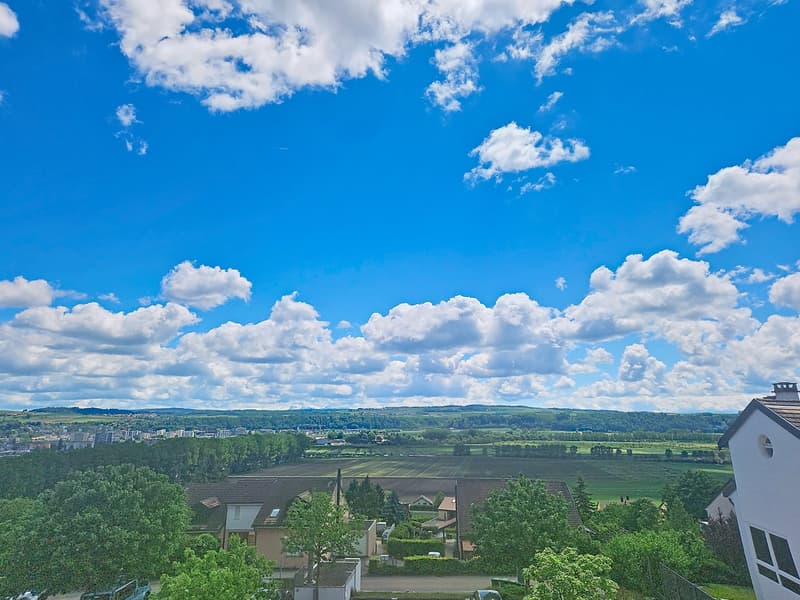 Vue