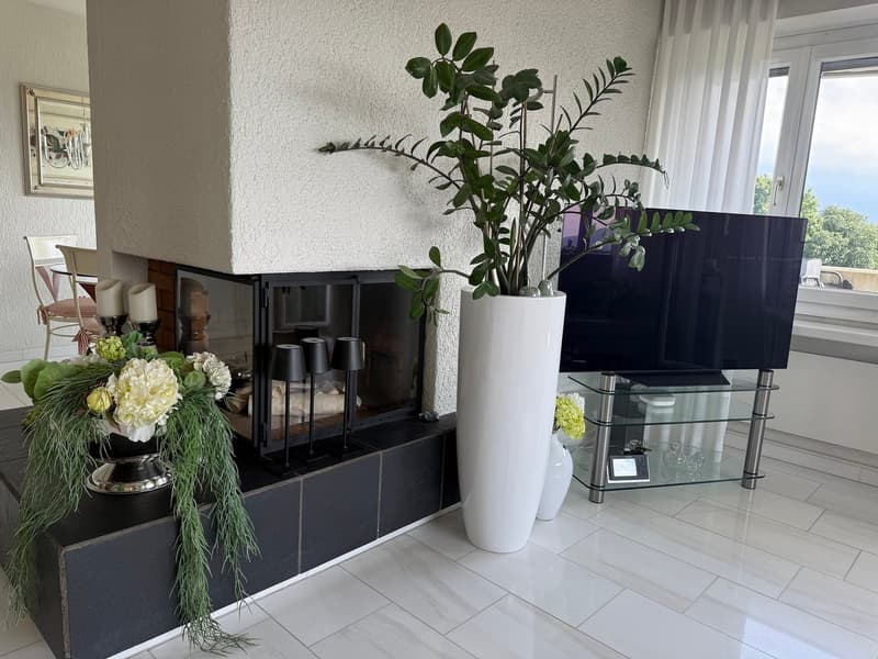 Fireplace, flat screen TV, TV stand, modern decor