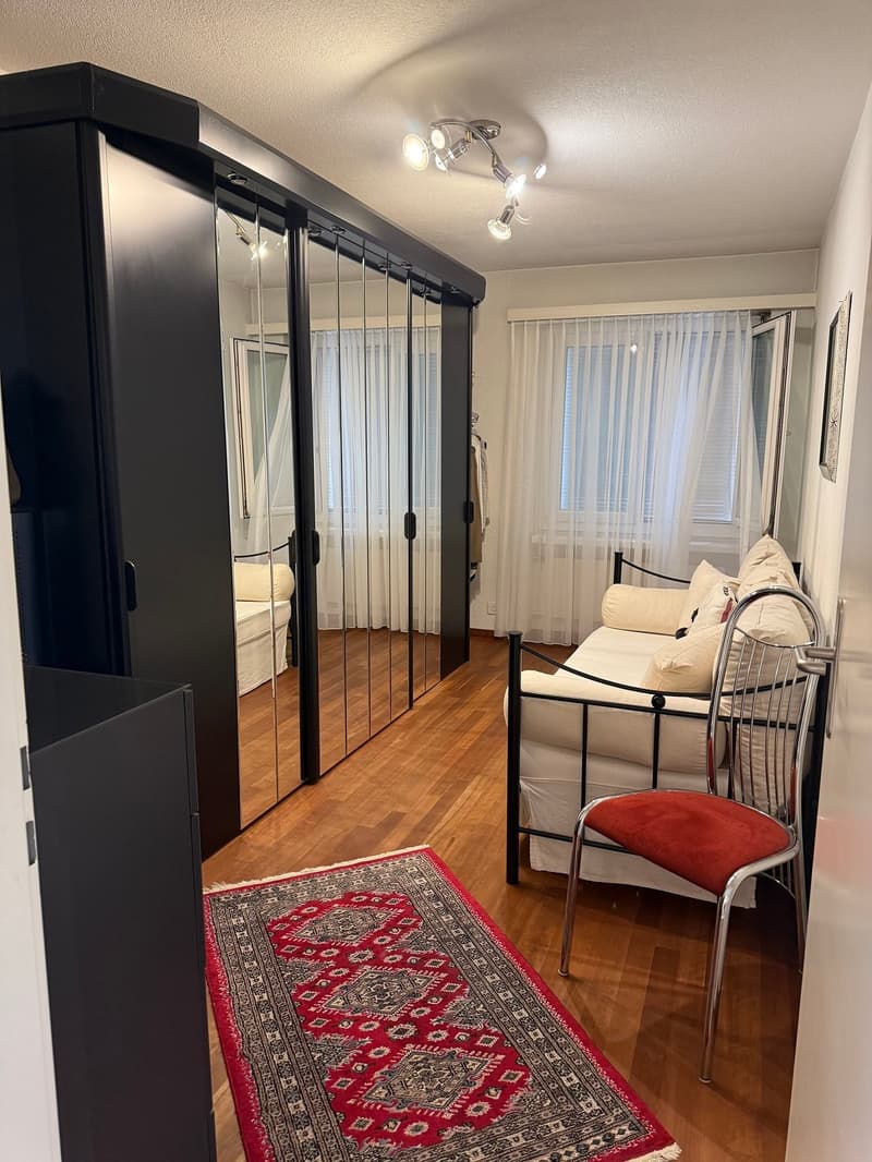 rug, built-in wardrobe, couch, window with curtain, chair, ceiling lamp