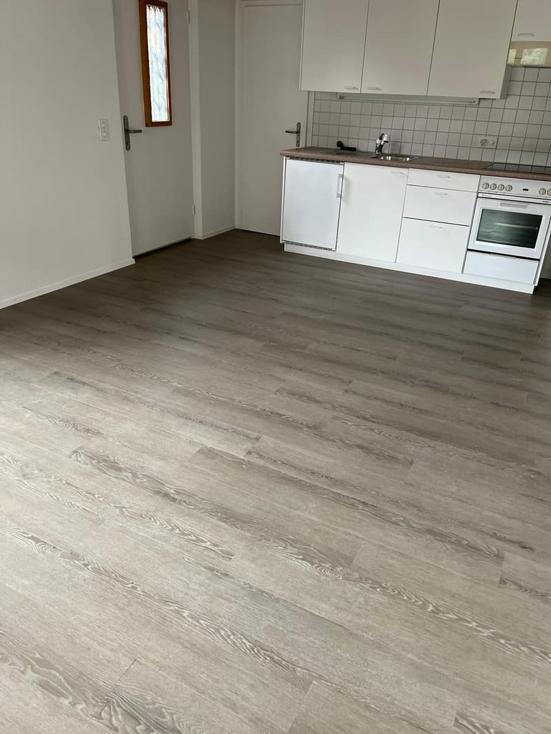 empty room, wooden floor, white walls, white kitchen, sink, oven