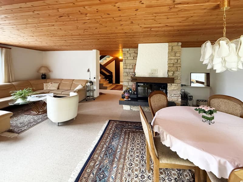 Maison de famille charmante dans un quartier calme à Wetzikon (3)