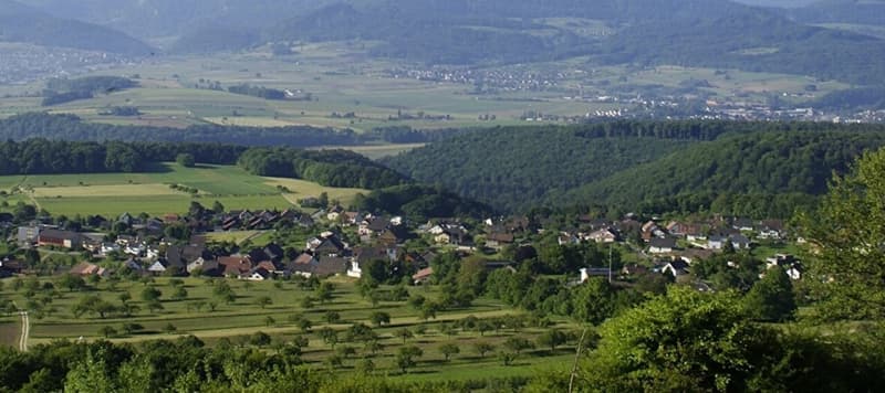 Primo affitto: Appartamento confortevole 3,5 locali con area giardino (2)