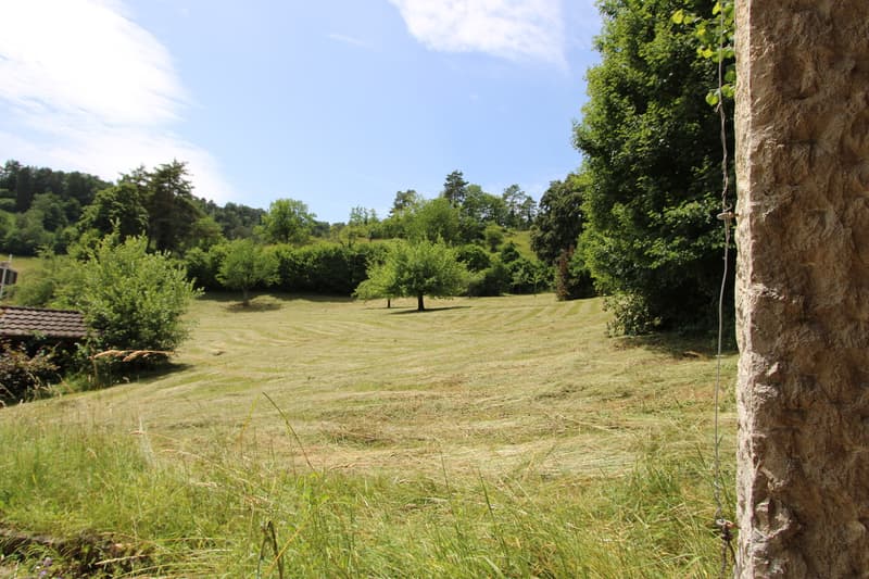 Nature PURE! Your new home in Dittingen BL (11)