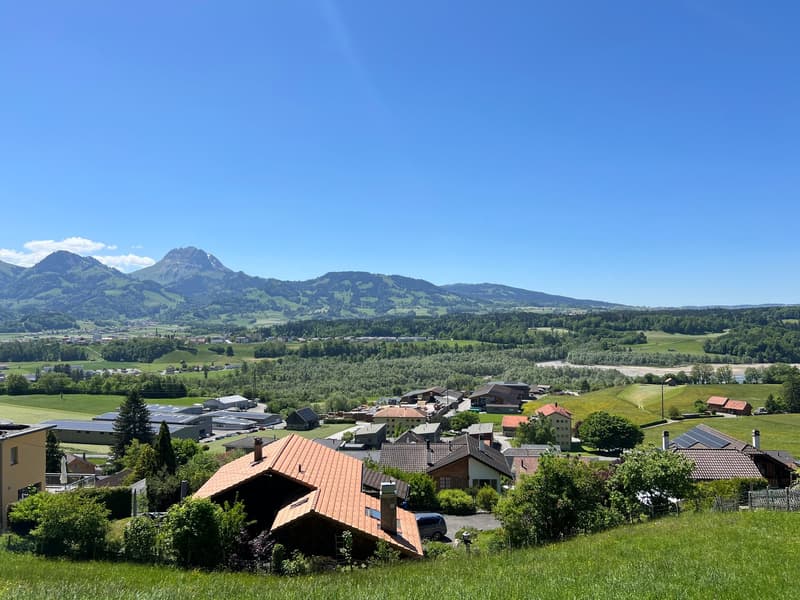 Last semi-detached villa with 3.5 rooms in the heart of Gruyère and 5 minutes from the lake (11)
