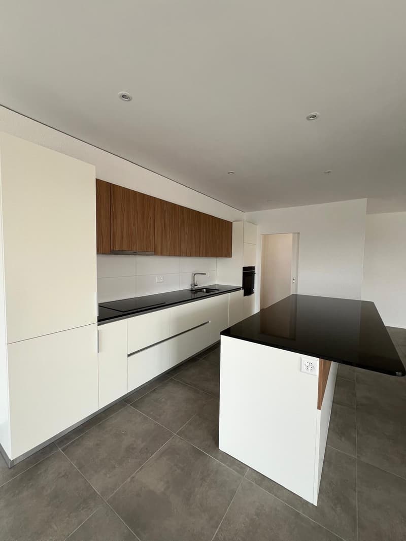 Magnificent 4.5-room apartment with large terrace and view (4)