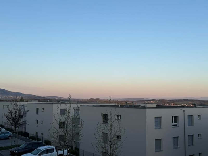 Magnificent 4.5-room apartment with large terrace and view (16)